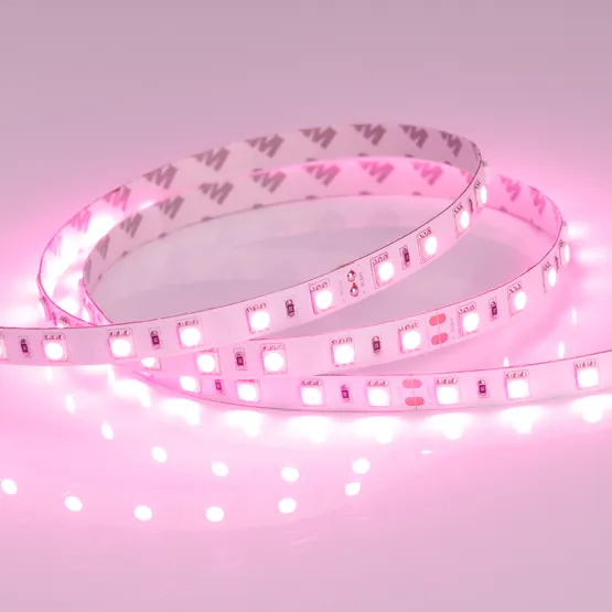 Фото #4 товара Светодиодная лента RT 2-5000 24V Pink 2x (5060, 300 LED, LUX) (Arlight, 14.4 Вт/м, IP20)