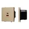 Минифото #1 товара Механизм розетки с быстрой USB зарядкой SCT-NOBE-MUAC-SFPL-FC-GD (65W, QC3) (Arlight, -)