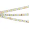 Минифото #1 товара Светодиодная лента RTW 2-5000SE 24V White 2x (5060, 300 LED, LUX) (Arlight, 14.4 Вт/м, IP65)