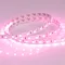 Минифото #4 товара Светодиодная лента RT 2-5000 24V Pink 2x (5060, 300 LED, LUX) (Arlight, 14.4 Вт/м, IP20)