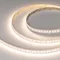 Минифото #1 товара Светодиодная лента RT-A140-10mm 24V Warm3500 SUN (20 W/m, IP20, 2835, 5m) (Arlight, -)